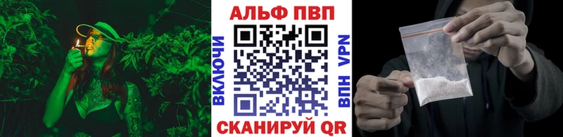  COCAIN Гуково