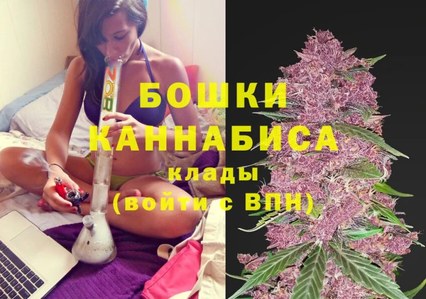 прущие крисы Верхний Тагил