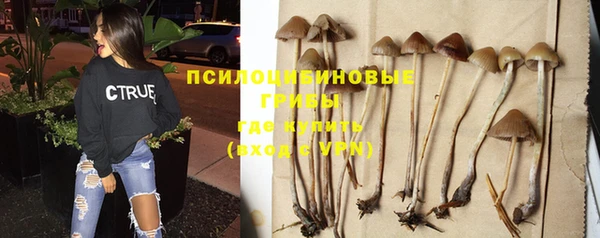МДМА Верея
