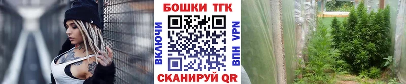 МАРИХУАНА конопля  Гуково 
